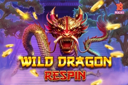 Wild Dragon Respin at Here2Win Casino