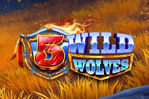 5 Wild Wolves at Here2Win Casino