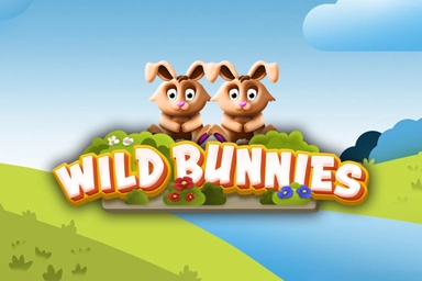 Wild Bunnies at Here2Win Casino