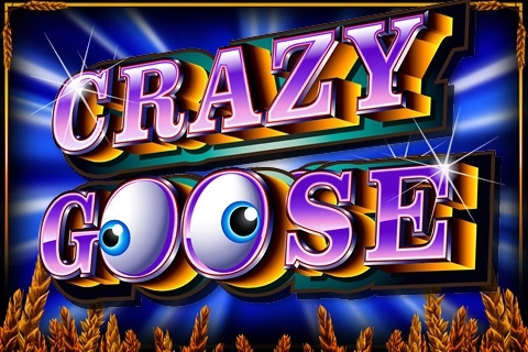 Crazy Goose at Here2Win Casino