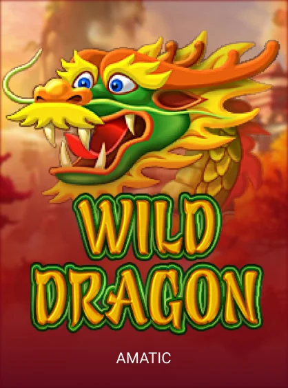 Wild Dragon at Here2Win Casino