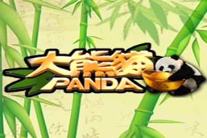 Panda at Here2Win Casino