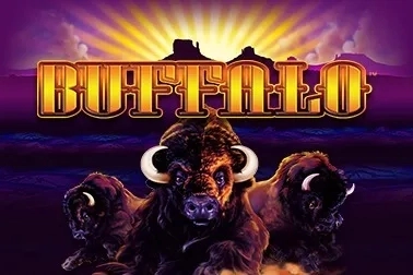 Buffalo at Here2Win Casino
