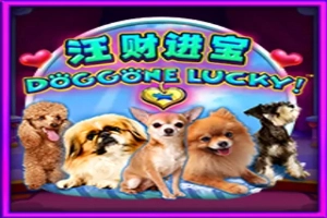 Doggone Lucky! at Here2Win Casino