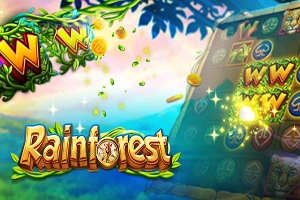 Rainforest pokie