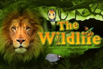 The Wildlife at Here2Win Casino