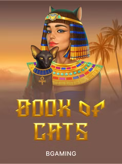 Book of Cats at Here2Win Casino