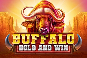 Buffalo Hold and Win pokie