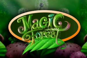 Magic Forest at Here2Win Casino