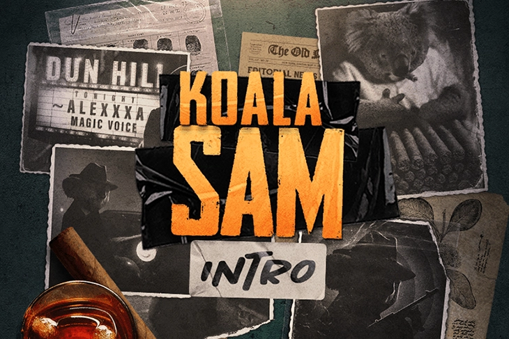 Koala Sam Intro at Here2Win Casino
