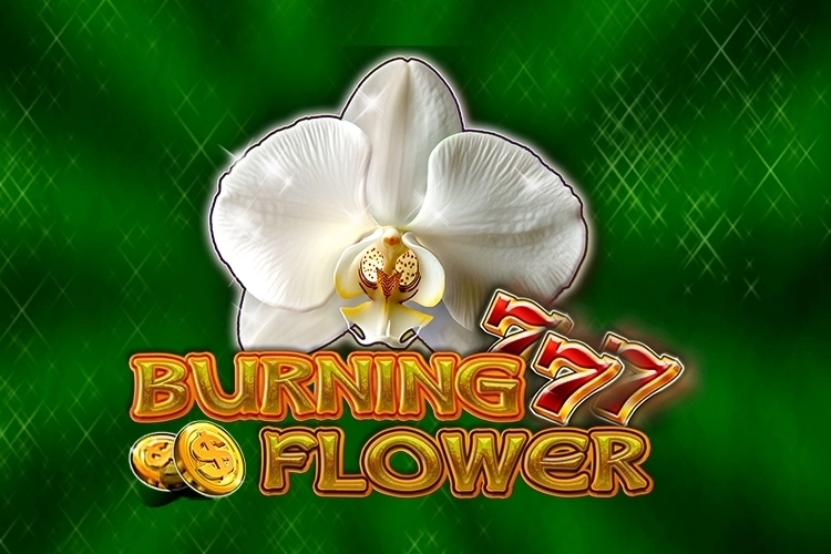 Burning Flower pokie
