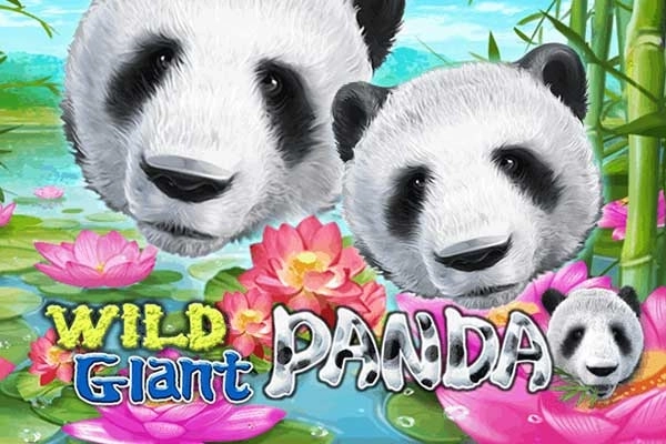 Wild Giant Panda pokie