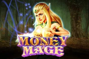 Money Mage at Here2Win Casino