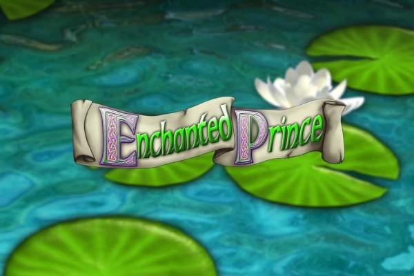 Enchanted Prince at Here2Win Casino