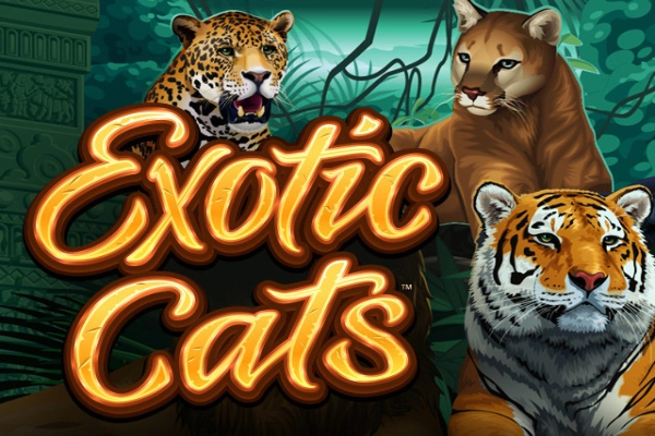 Exotic Cats at Here2Win Casino