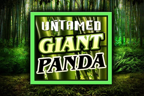 Untamed - Giant Panda pokie