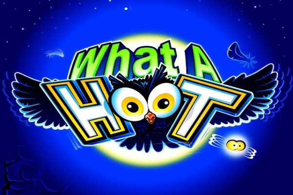 What A Hoot at Here2Win Casino