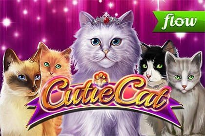 Cutie Cat at Here2Win Casino