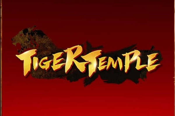 Tiger Temple at Here2Win Casino