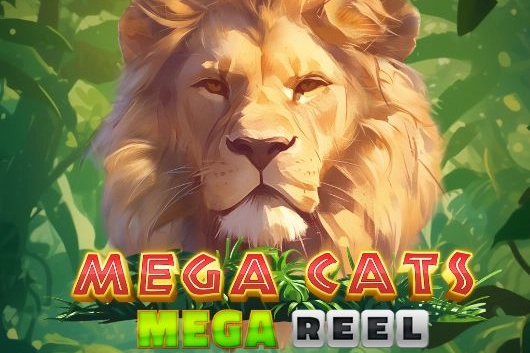 Mega Cats Mega Reel at Here2Win Casino
