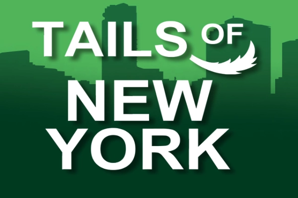 Tails Of New York pokie