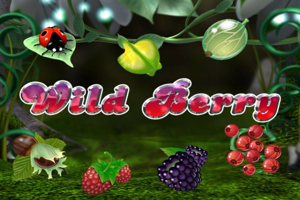 Wild Berry at Here2Win Casino
