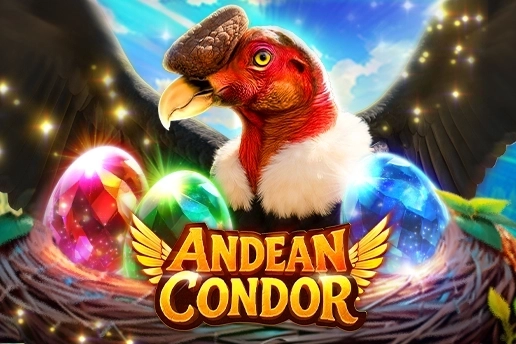 Andean Condor at Here2Win Casino