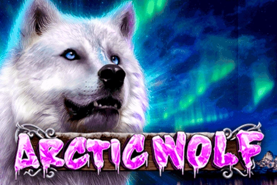 Arctic Wolf at Here2Win Casino