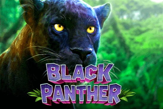 Black Panther at Here2Win Casino