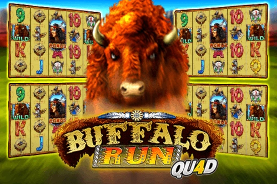 Buffalo Run Quad at Here2Win Casino