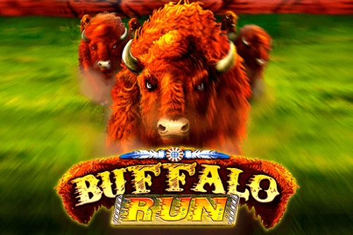 Buffalo Run at Here2Win Casino