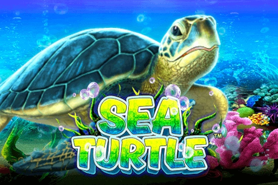 Sea Turtle at Here2Win Casino