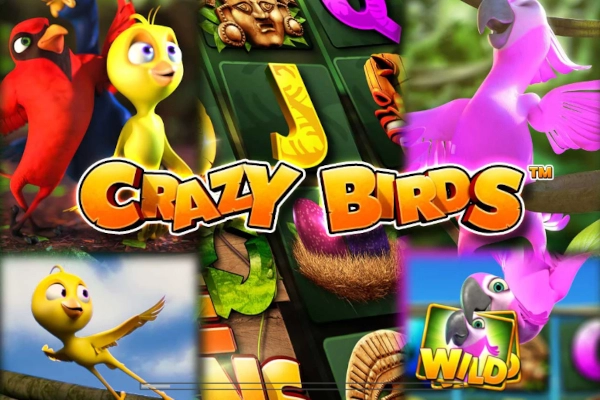 Crazy Birds pokie