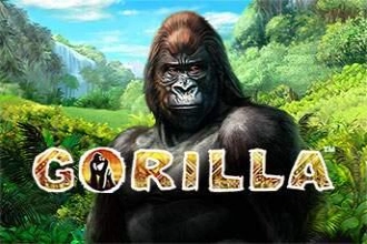 Gorilla pokie