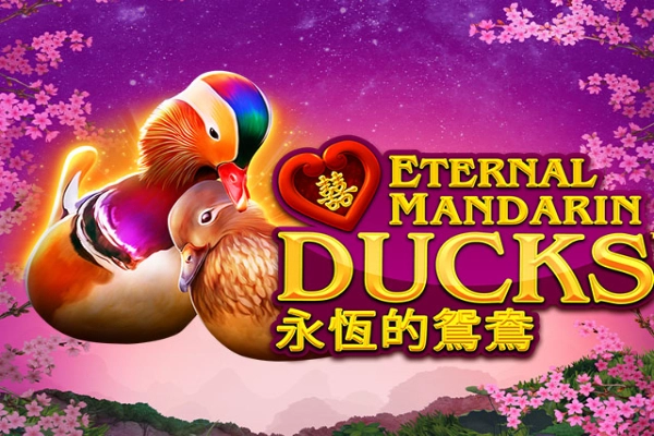 Power Prizes - Eternal Mandarin Ducks pokie