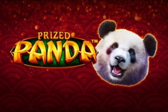Prized Panda at Here2Win Casino