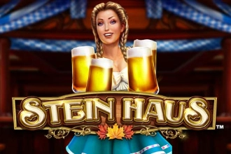 Stein Haus pokie