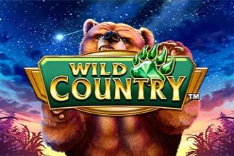 Wild Country at Here2Win Casino