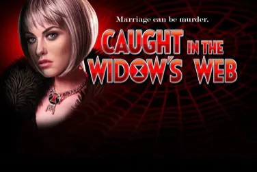 Caught In The Widow's Web pokie