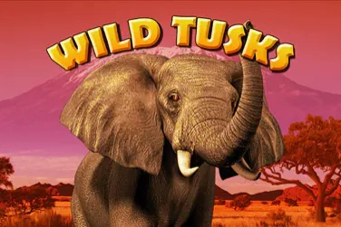 Wild Tusks at Here2Win Casino
