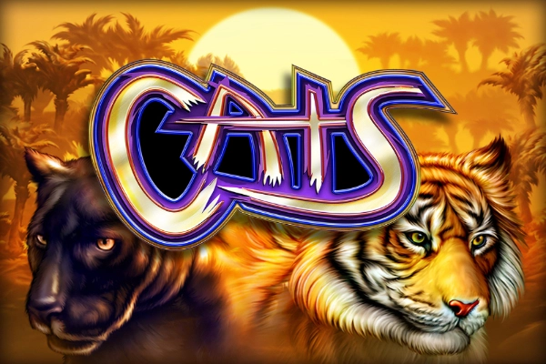 Cats at Here2Win Casino