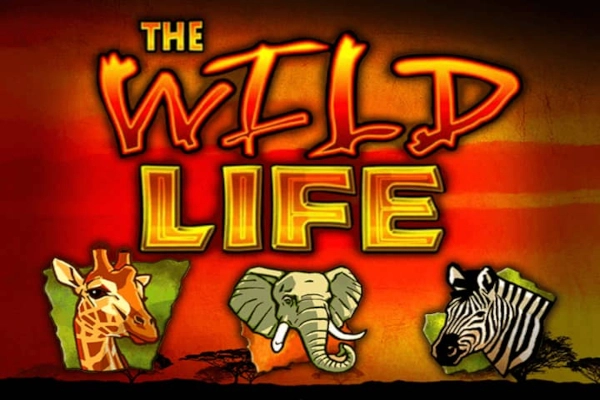The Wild Life pokie