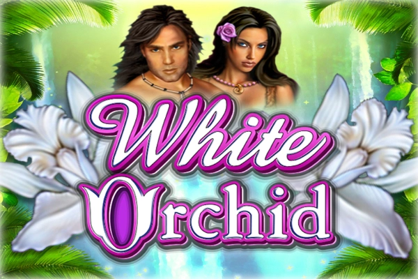 White Orchid at Here2Win Casino