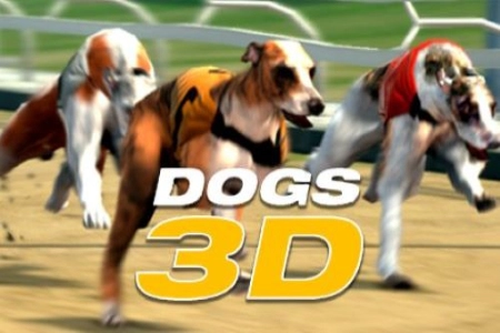 Dogs 3D at Here2Win Casino