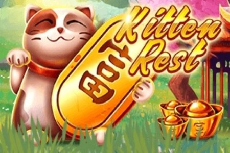 Kitten Rest at Here2Win Casino