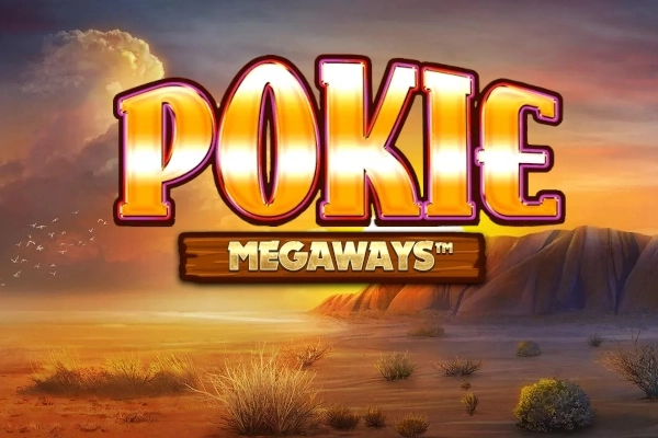 Pokie Megaways at Here2Win Casino