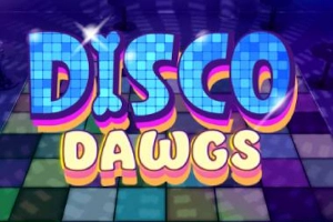 Disco Dawgs at Here2Win Casino