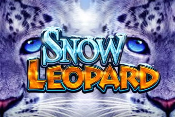 Snow Leopard at Here2Win Casino