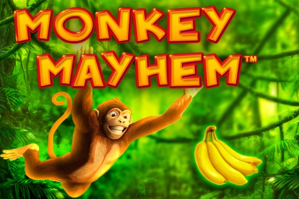 Monkey Mayhem at Here2Win Casino