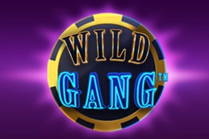 Wild Gang at Here2Win Casino